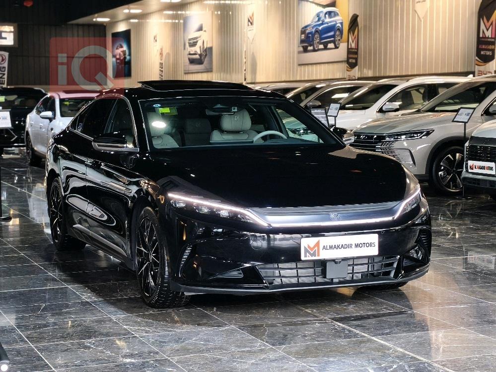 بي واي دي هان